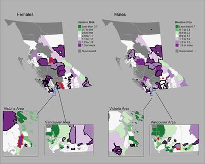 Small area disease mapping of cancer incidence in British Columbia using Bayesian spatial models and the smallareamapp R Package